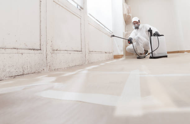 24/7 Emergency Commercial Mold Remediation experts in Hamilton, GA